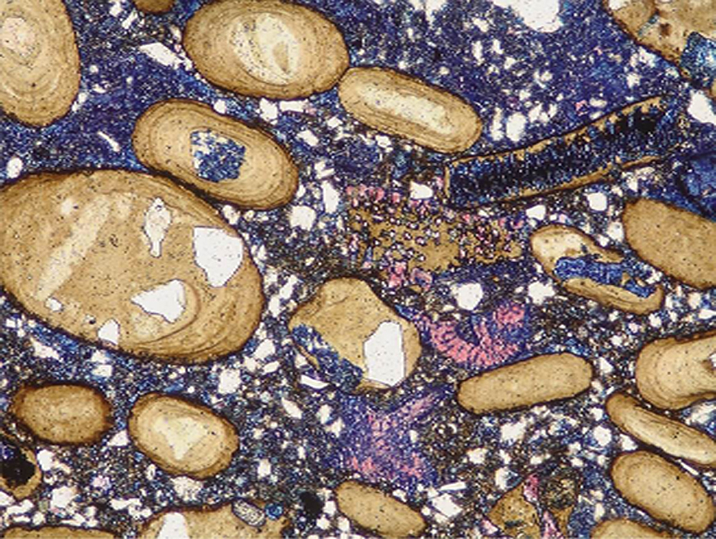 Petrography